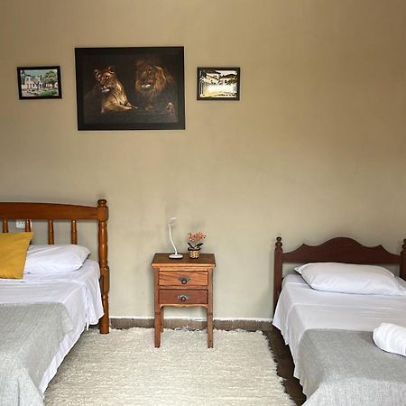 Suite Presidencial Terrea 帕拉蒂 外观 照片