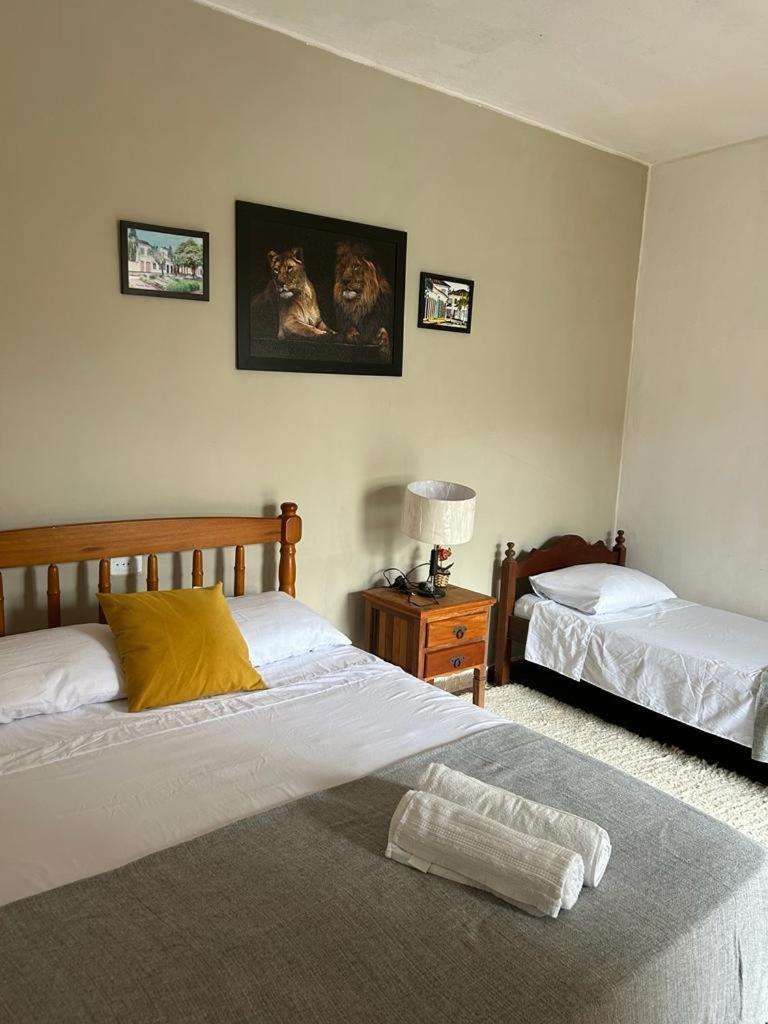 Suite Presidencial Terrea 帕拉蒂 外观 照片